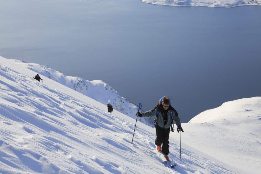 Norvège 1er sem 40006