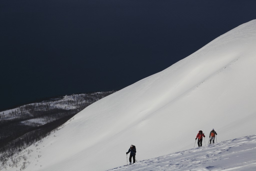 Norvège 1er sem 40008
