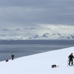 Bernard et Marc avec les pulkas au depart du Parry en péninsule antarctique