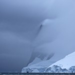 Cap renard dans le canal Lemaire en péninsule antarctique