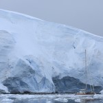 Kotic dans la baie de Paradise en péninsule antarctique