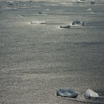 Piscine dans un iceberg sur reflets d argent