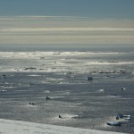 Reflets d'argent et iceberg brillant en péninsule antarctique