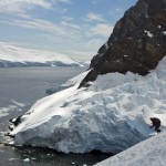 Robert arrive sur la mer a ski en péninsule antarctique