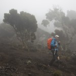Descente de Christian en direction du camp de Karanga à 3950 m