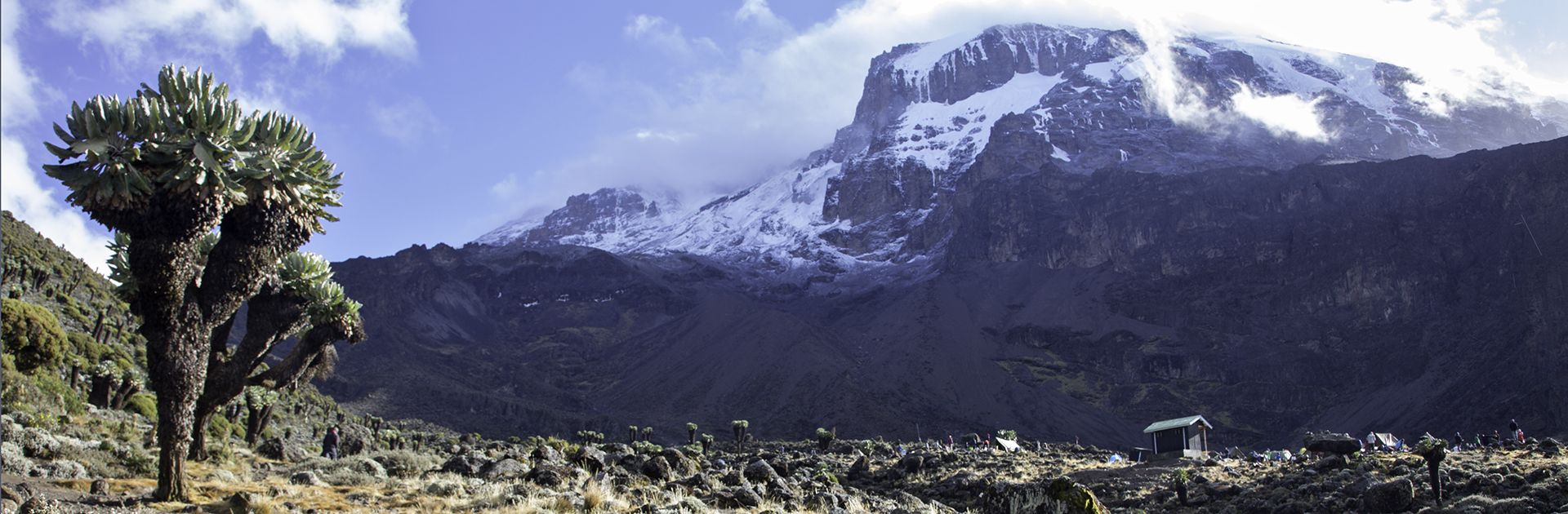 Ascension du Kilimandjaro - Traversée Machame / Mweka