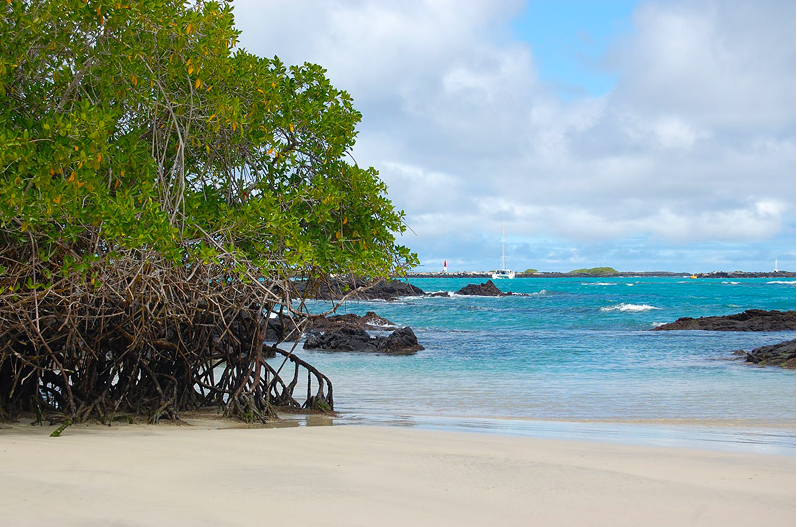 Les îles Galapagos - Extension